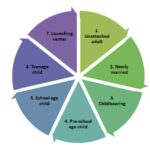 stages of family life cycle graph