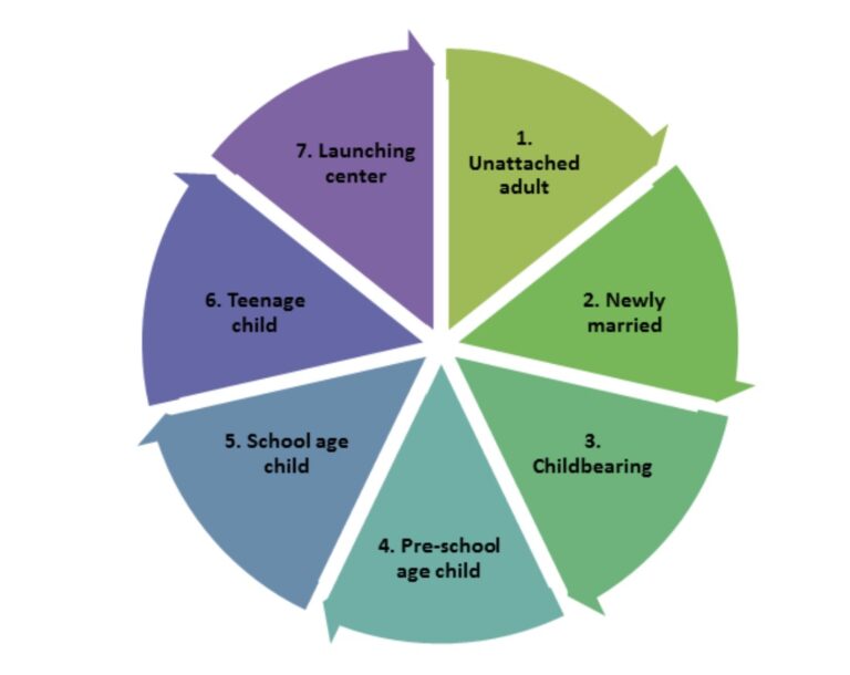 stages of family life cycle graph