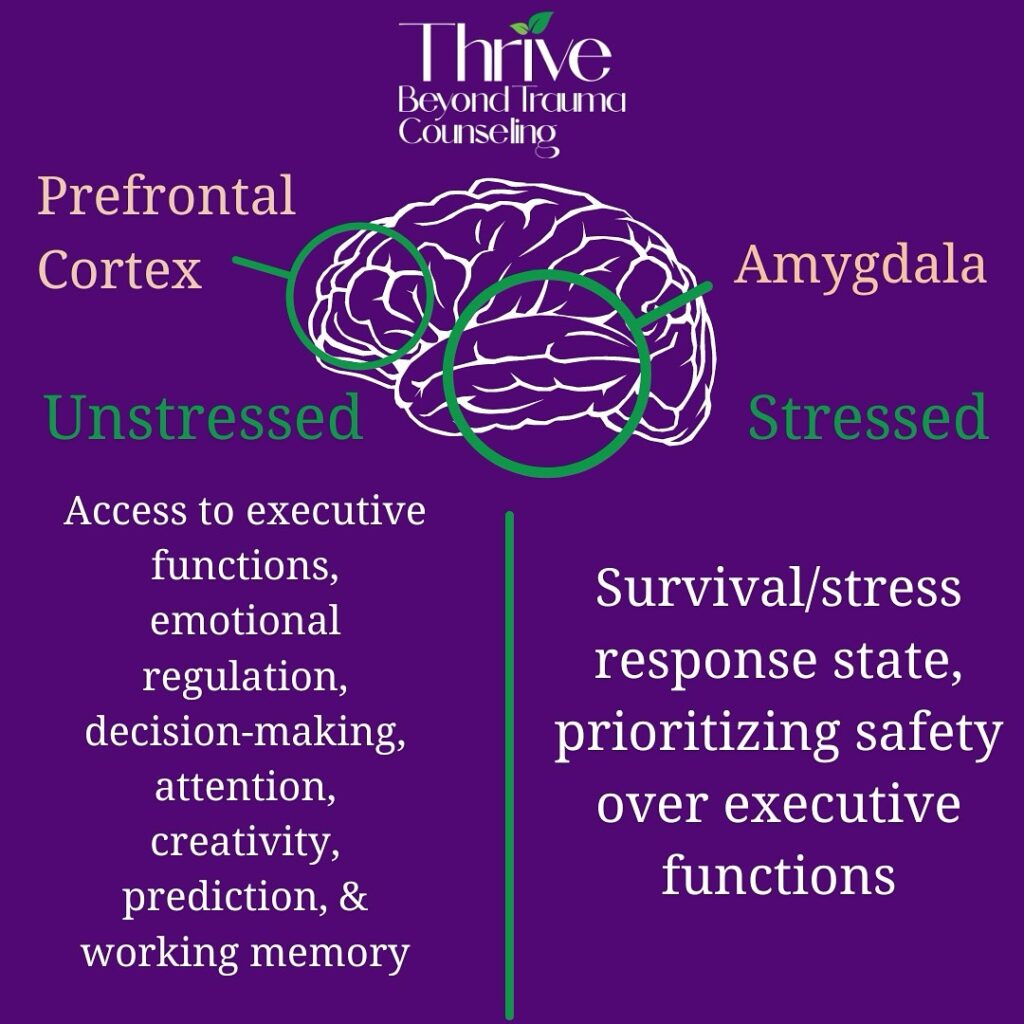 Your Brain's Response to Trauma